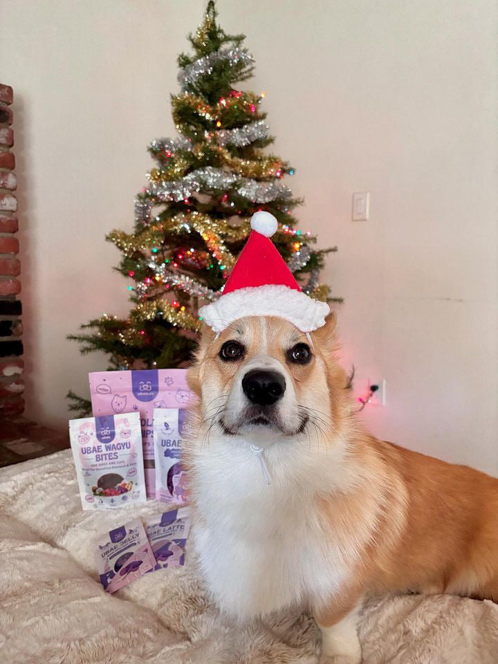 Delight Your Pets This Holiday Season with Ubae.co Holiday Treat Bundl ...
