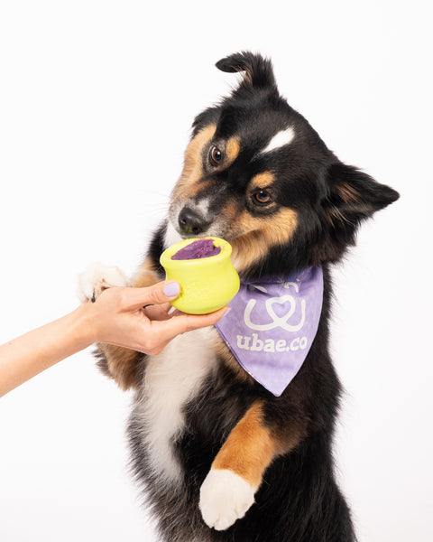 The Ultimate Guide to Healthy Dog Treats: Unleashing the Power of Purple Sweet Potatoes