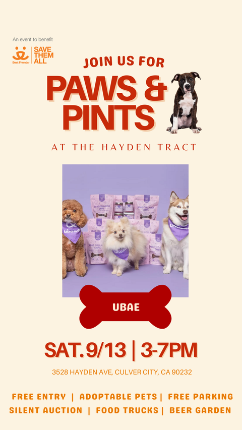 Paws &Pints in Culver City
