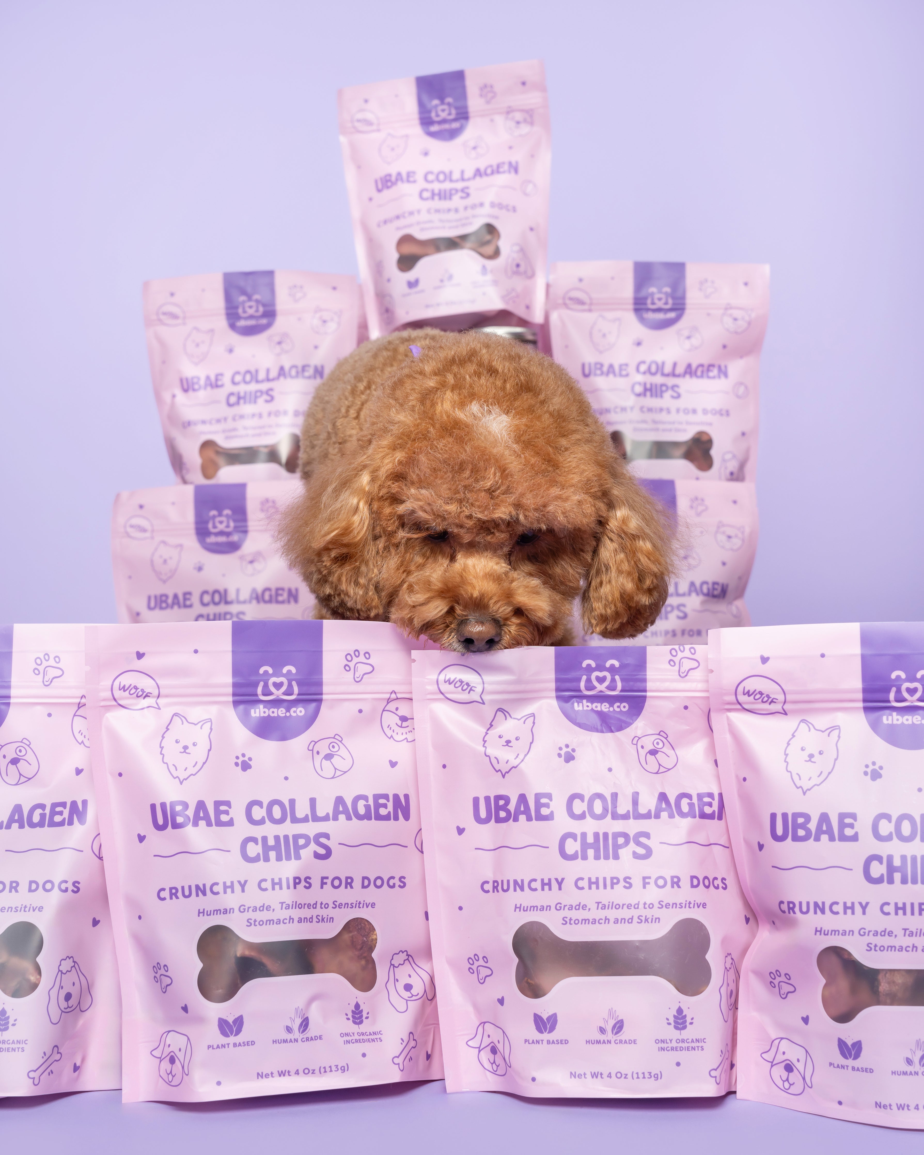 Shoutout LA Article – UBAE