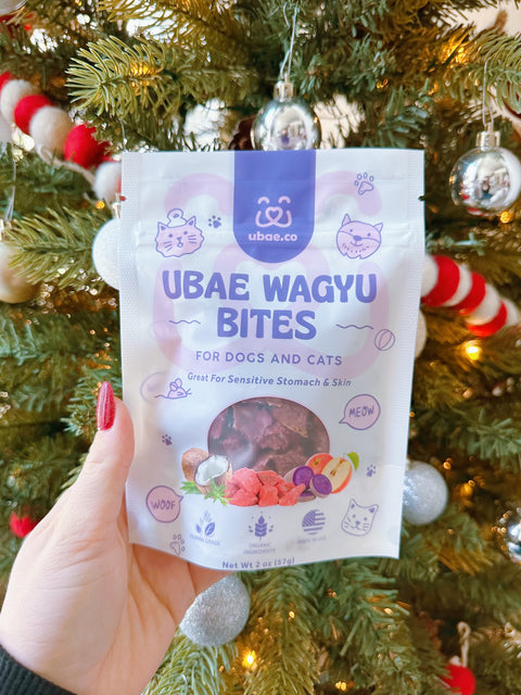 The selling out UBAE WAGYU BITES 🍠