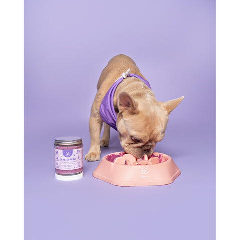 Pet Supplies Dog Food Feeder Walmart Vibrant Life Gravity Pet