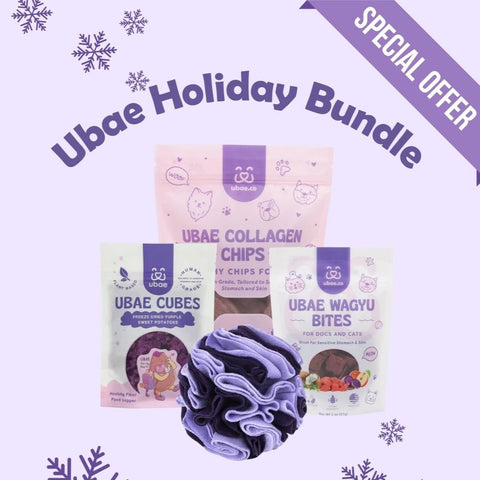 Ubae Holiday Bundle