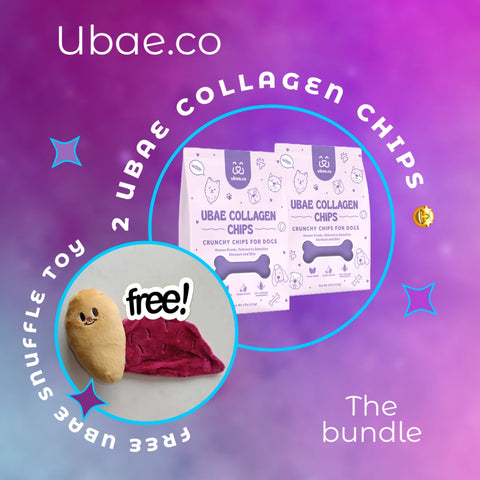 Ubae Collagen Chips Bundle