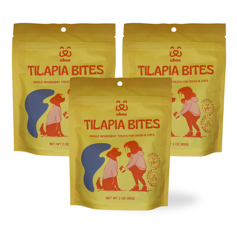 Tilapia Bites