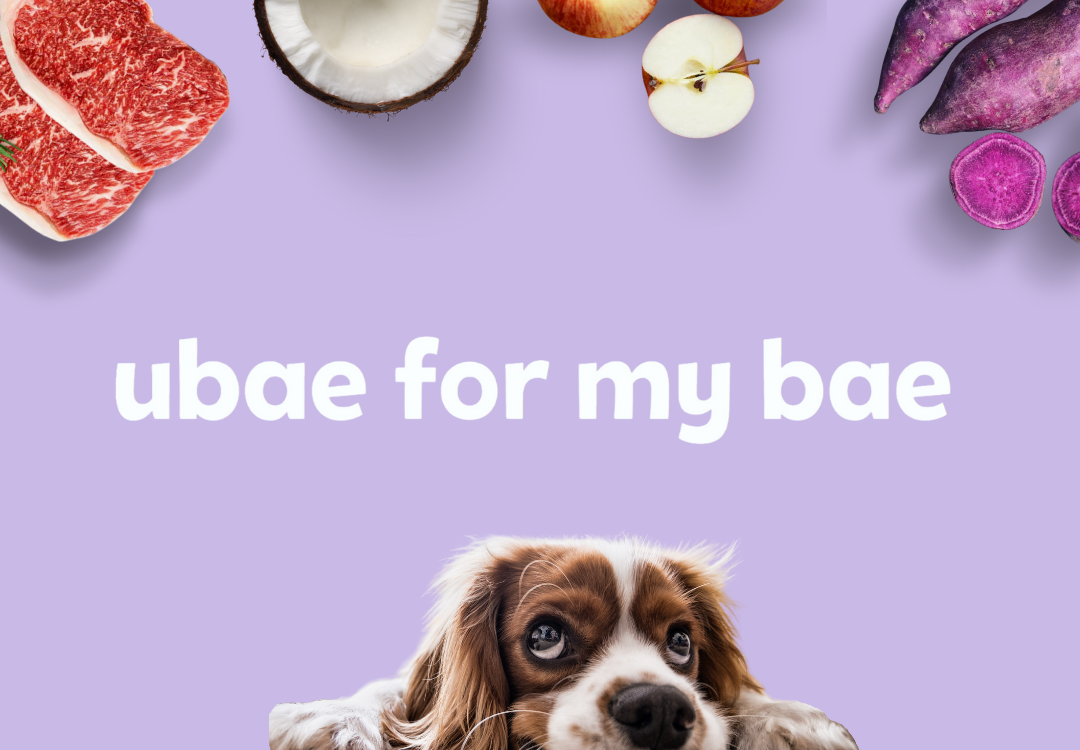 Ubae Store Ubae.co | Organic Pet Treats – UBAE