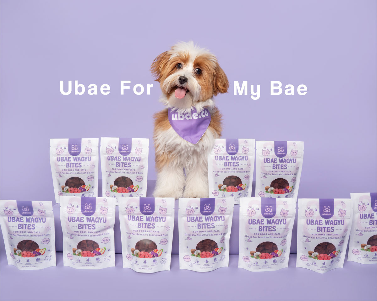 Ubae Store Ubae.co | Organic Pet Treats – UBAE
