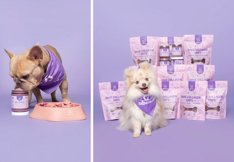 Ubae.co | Organic Pet Treats – UBAE