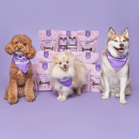 Ubae Store Ubae.co | Organic Pet Treats – UBAE