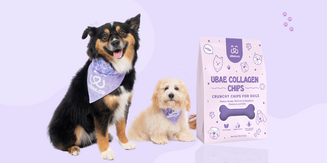 Ubae Store ubae.co